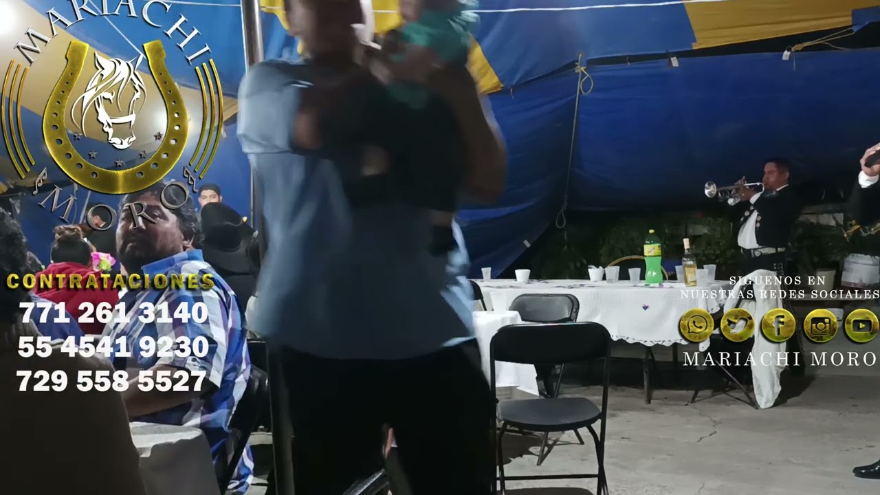 Mariachi enzempoala Contrataciónes 7712613140 5545419230 7295585527