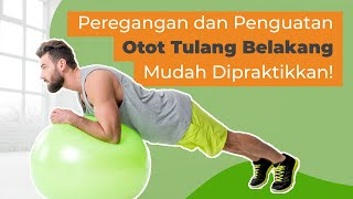 Senam Peregangan Otot dan Tulang Belakang dengan Gym Ball Exercise di Rumah