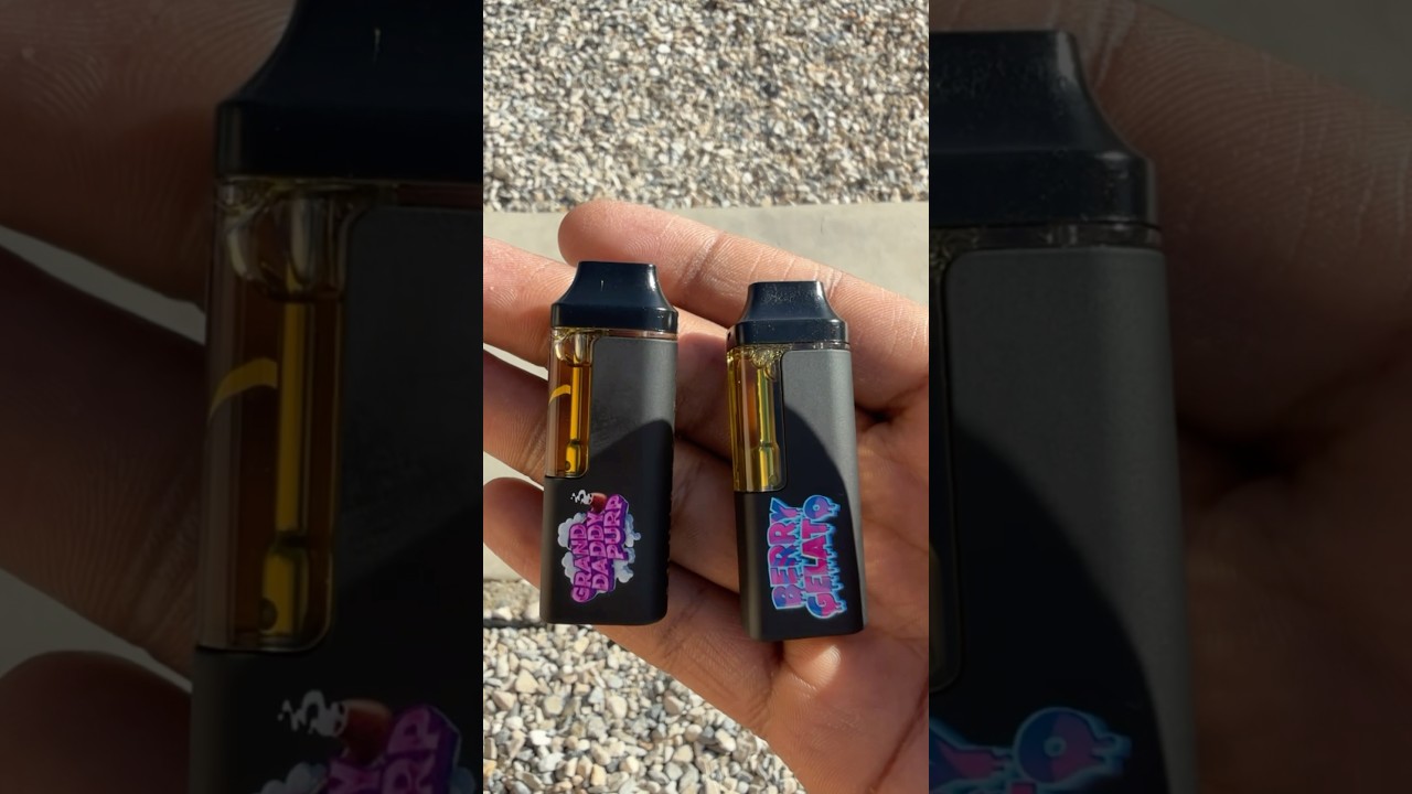 MuhaMeds GrandDaddy Purp x Berry Gelato 🍧😶‍🌫️🔥 