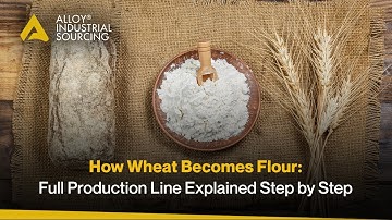 How Wheat Becomes Flour: Full Production Line Explained Step by Step