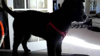 SAM_0626.AVI