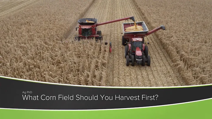 Corn Harvest Decisions (From Ag PhD Show #1168 - Air Date 8-23-20)