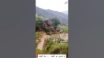 يا باحثين عن الشفاء هنا الشفاء بعون الله اكسبلور أناشيد يمنية قديمة تيك توك ذكريات لايك ترند 