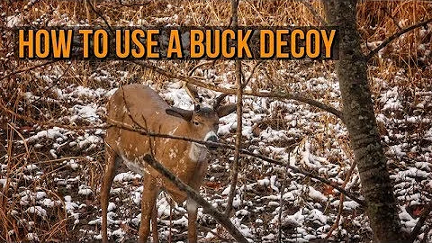 Come utilizzare un richiamo per caccia al cervo con arco!