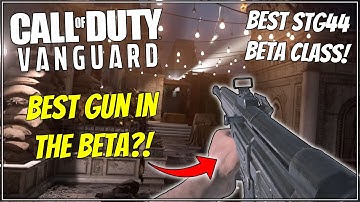 Best Gun in COD Vanguard Beta?! Best STG44 Class Setup in Vanguard!