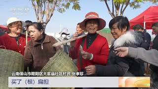 [三农长短说]云南保山 逛“哀牢犁耙会” 买农具吃美食 | 农业致富经 Agriculture And Farming