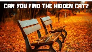 Tough Hidden Animals Picture Puzzles Tough Hidden Animals Picture Puzzles