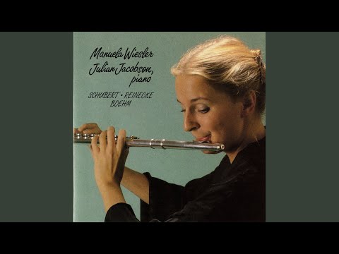 Flute Sonata, Op. 167, "Undine": I. Allegro