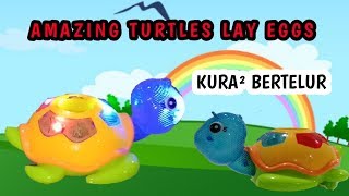 AMAZING TOYS~KURA KURA AHA OO WIK WIK BERTELUR DAN BERNYANYI