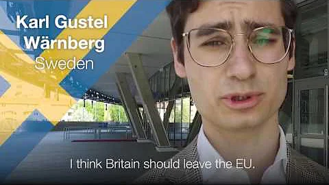 EU referendum  What do Europeans think    BBC News