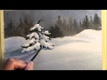 Beginners how to paint Snow