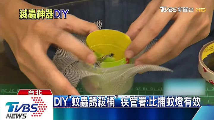 DIY“蚊虫诱杀桶”　疾管署：比捕蚊灯有效 - 天天要闻