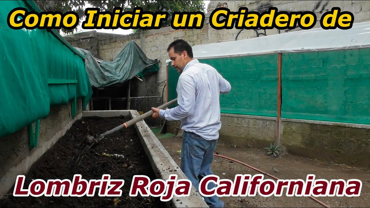 Como comenzar un Criadero de Lombriz Roja Californiana