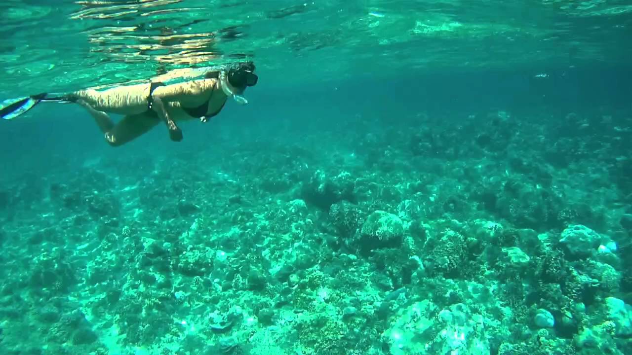 Gili Island Snorekling