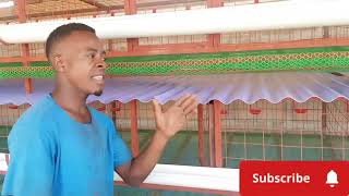 LOCAL CAGE LAZIMA IWE NA MAMBO MANNE YA MSINGI, YATAZAME HAYA MAMBO MANNE.