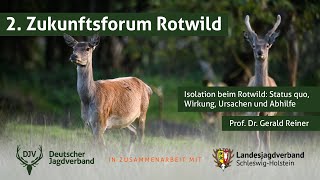 2. Zukunftsforum Rotwild | Teil 2: Isolation beim Rotwild