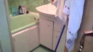 Funvid Kitty Wants Privacy