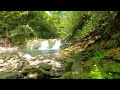 Relaxing sounds of mountain waterfall accompanied by singing of forest birds. 3 hours of video in 4K