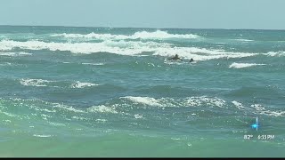 Laie Beach shark attack