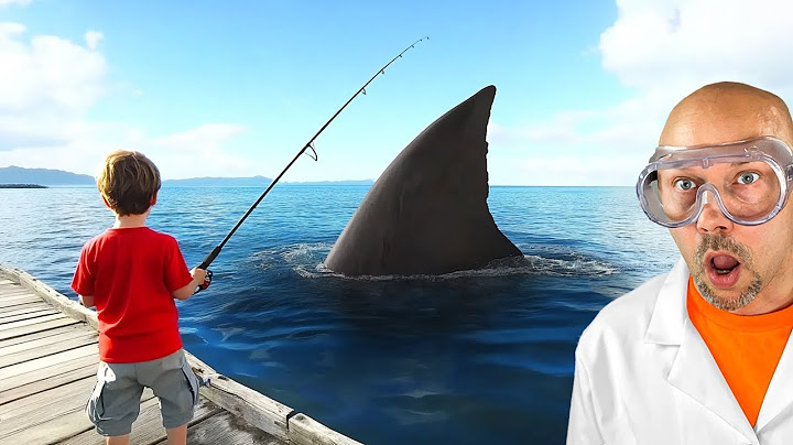 my son caught the megalodon..
