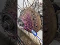 😨🚴♂️ RESTORE: FILTHIEST BIKE CASSETTE EVER ⚙️🧼🔥