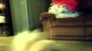 Capture 20120203