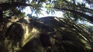 Sully's Hangout 5.8 pitch