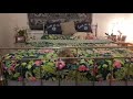 Funny cats
