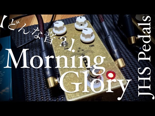 【どんな音？】JHS Pedals Morning Glory V4