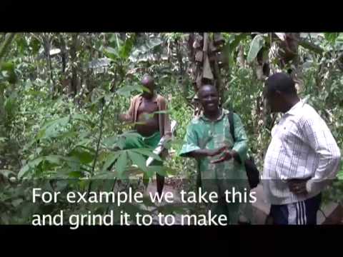 Baka People: Facing changes in African forests