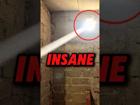 لم يكن يبحث عن معجزة لكنه وجد واحدة