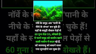 समुद्र के नीचे उग आया जंगल! | Norway Underwater Forest | Climate Superhero | Sach aur Gyaan