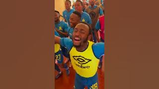 Download lagu shalulile ft sundowns asoze saphela amandla