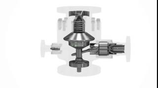 Famous Schroeder SMV 18 Pump Protection Valve Net Worth