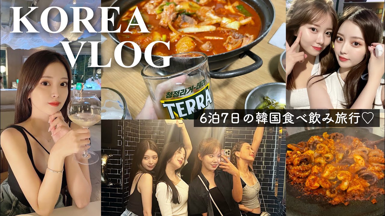 【vlog】韓国での最高に楽しかった1週間記録🇰🇷🍾ほぼベロベロです⚠︎