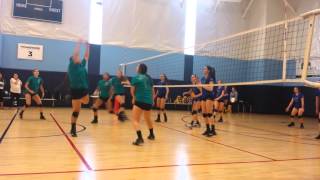 Blocking Nellie Wealth