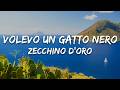 Volevo un gatto nero - Zecchino D'oro, Piccolo Coro dell'Antoniano (Testo/Lyrics)