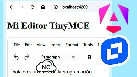 CÓMO USAR TinyMCE CON ANGULAR
