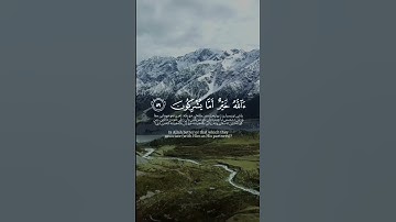 ‎#معاذ_العيد #سورة_النمل  #قرآن #quran #allah #الحمدلله #allahuakbar #لا_اله_الا_الله #muslim #مكة