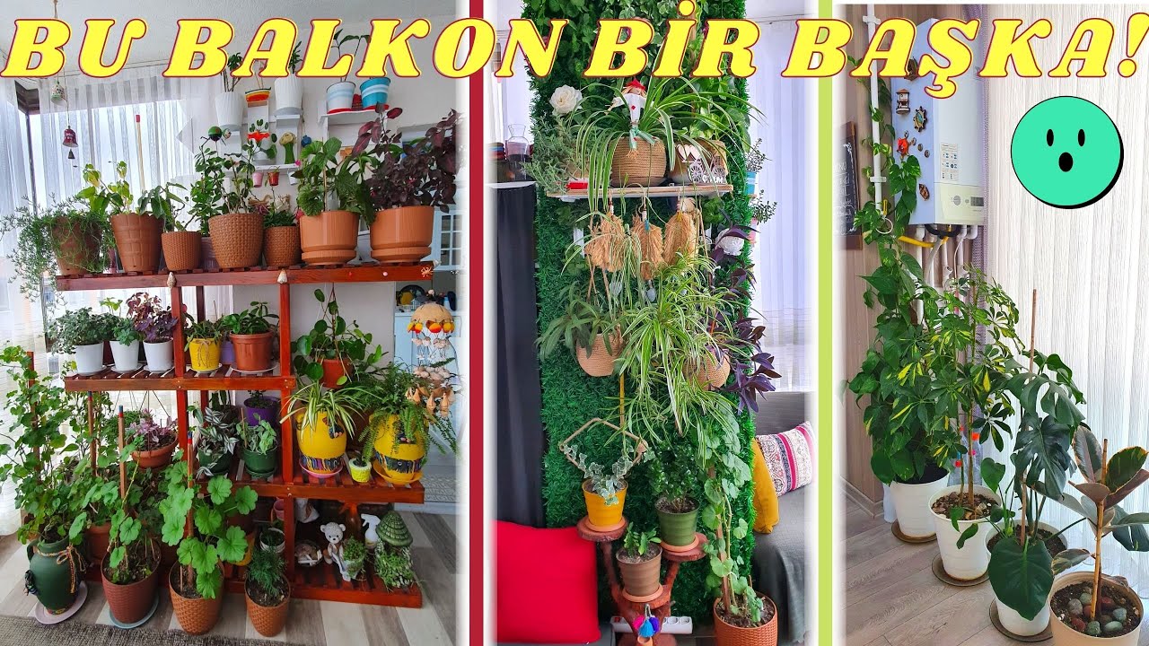 CAM BALKONUMU ÇİÇEK BAHÇESİNE ÇEVİRDİM ! -BİTKİLERİN İSİMLERİYLE BALKON TURU