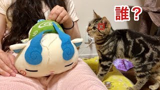 甘えてきた猫を無視してぬいぐるみを可愛がるとこうなりますｗ 犬Ver.