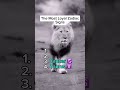 The most loyal zodiac signs ‼️ #zodiac #zodiacs #zodiacsigns #astrology #astrology#usa #shorts