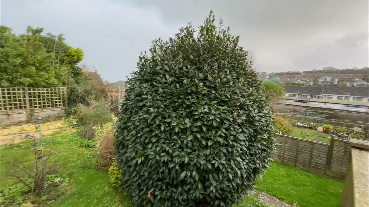 12 Parc an Creet, St Ives, Cornwall YouTube