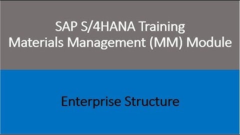 Video 03 - SAP S/4HANA Materials Management (MM) module training - Enterprise Structure