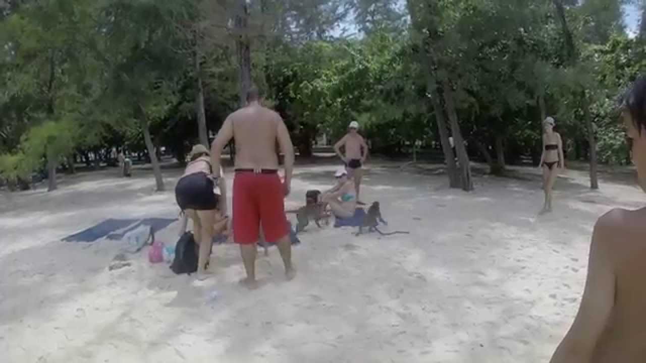 Тайланд туристка обезьяны отдых в тайланде девушки