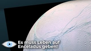 Es sind Spuren von Leben auf Enceladus entdeckt worden, sagt neue Studie