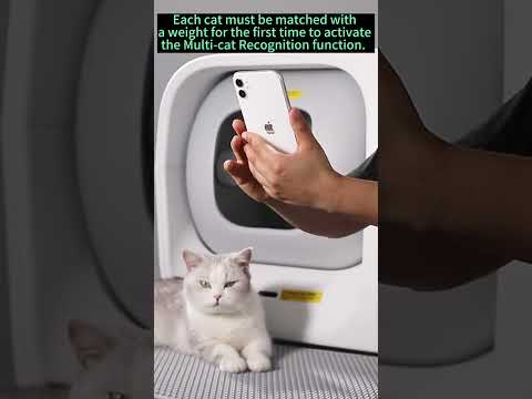 How to use the Multi Cat Recognition function？