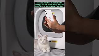 How to use the Multi Cat Recognition function？ screenshot 3
