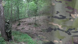 TPP CT06 Crye MultiCam Tropic Camo Test: Open Inner Woods, Shifting Light