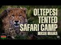 Best Safari Camp For Wildlife Photographers Oltepesi Tented Safari Camp In The Masai Mara Best Safari Camp For Wildlife Photographers Oltepesi Tented Safari Camp In The Masai Mara